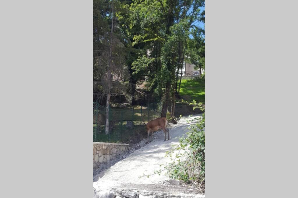 וילטה בריאה Casa Vacanze Al Castello מראה חיצוני תמונה